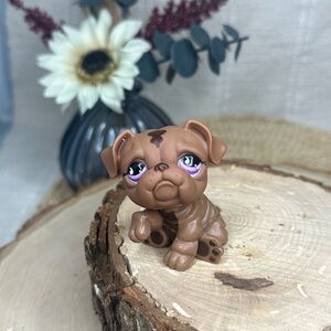LPS Littlest Pet Shop #881 Brown Bulldog Toy Animal